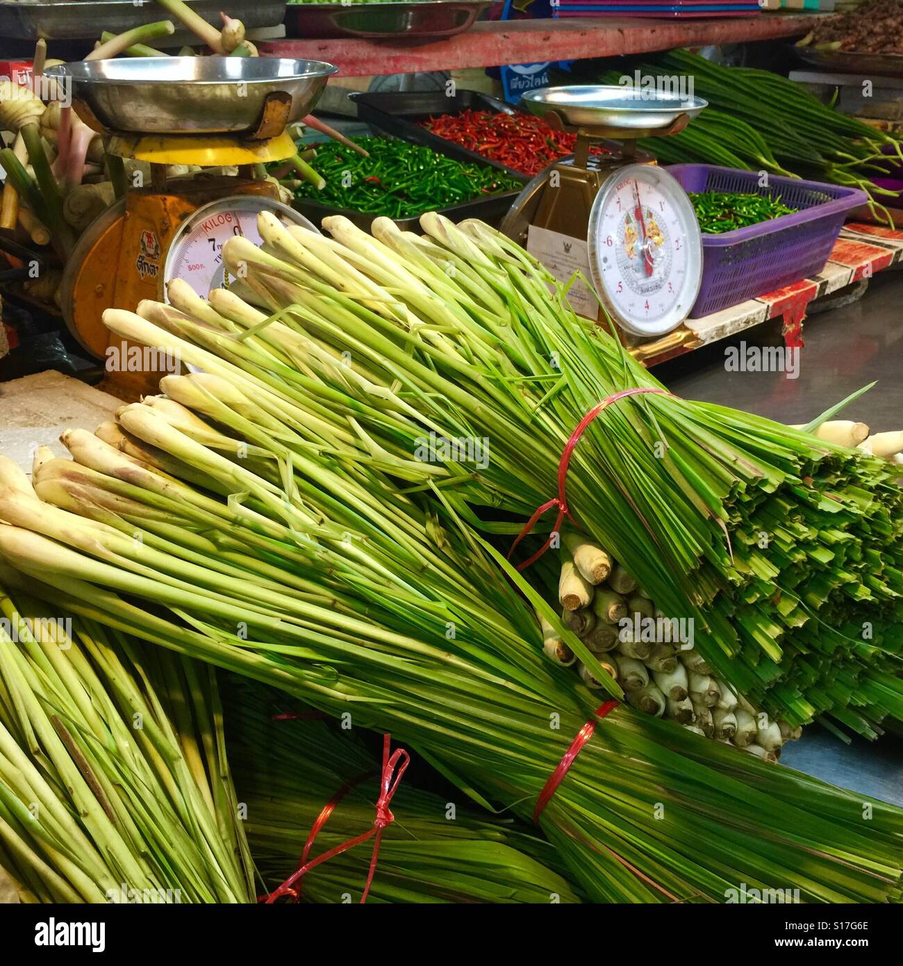 Erbe tailandese - fasci di erba di limone in vendita al mercato Tailandese locale, Phuket citta vecchia Foto Stock