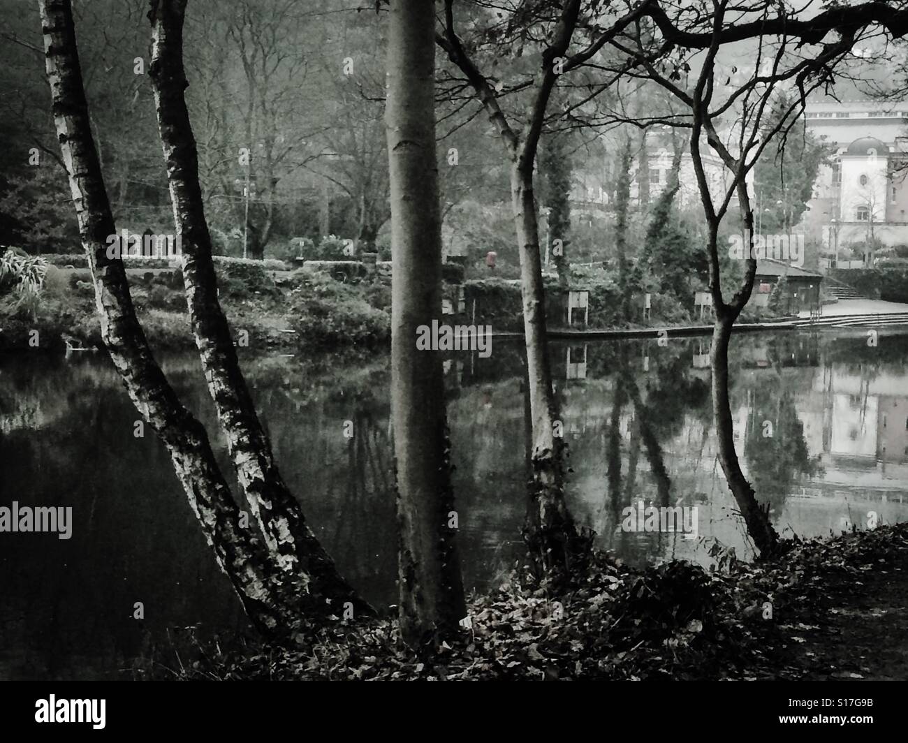 Alberi in inverno vicino al fiume Derwent in Matlock Bath Derbyshire Peak District Inghilterra REGNO UNITO - Immagine stock catturata con smartphone