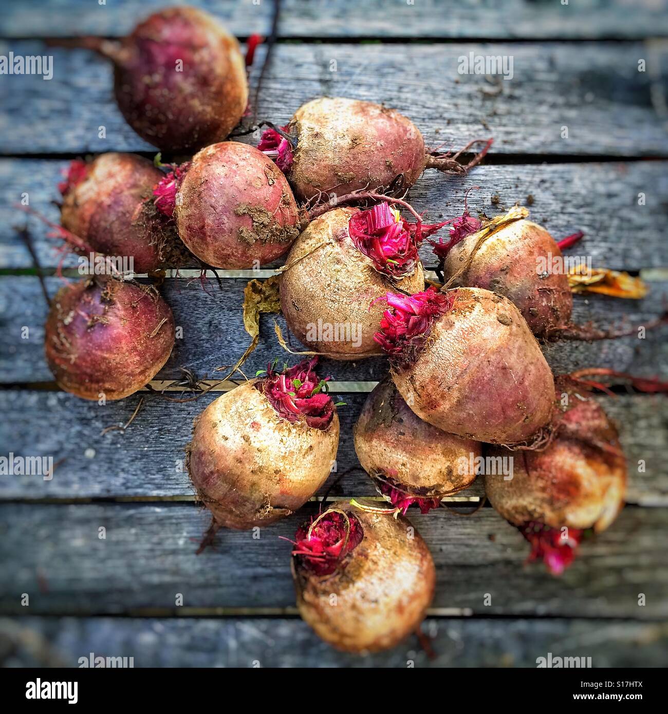 Barbabietola fresca - Immagine stock catturata con smartphone