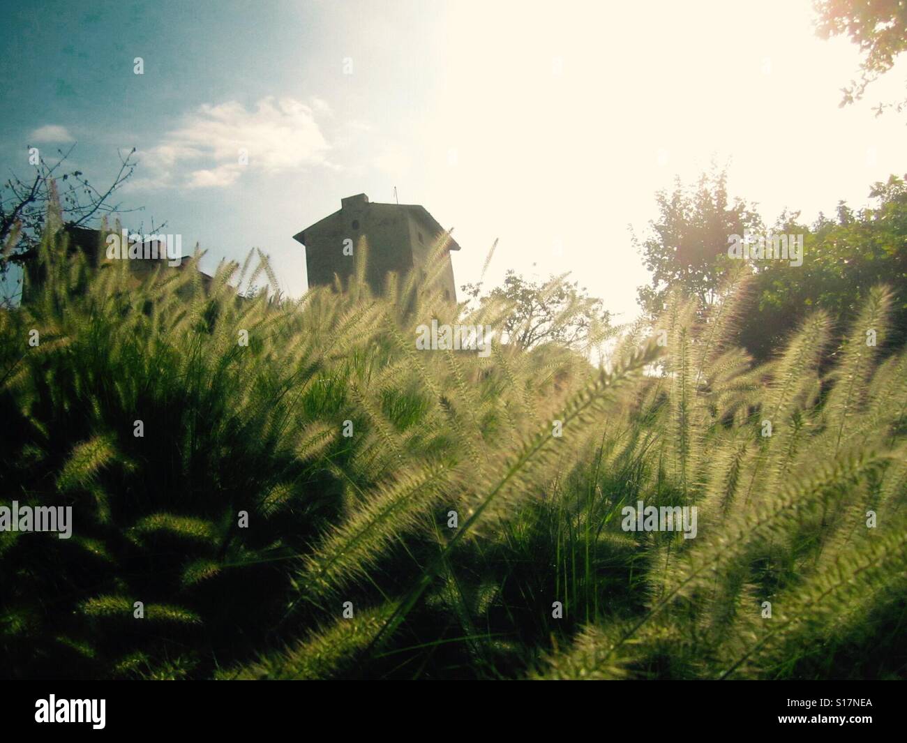 Antico casale in pietra nella campagna italiana Foto Stock