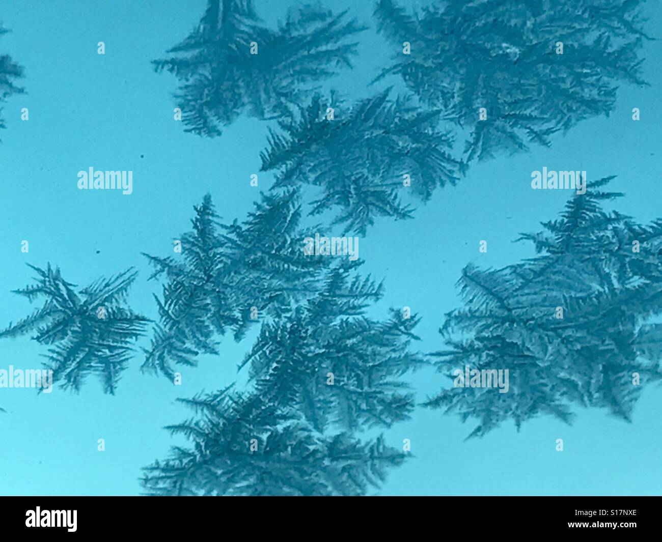 La brina sul mio parabrezza. - Immagine stock catturata con smartphone