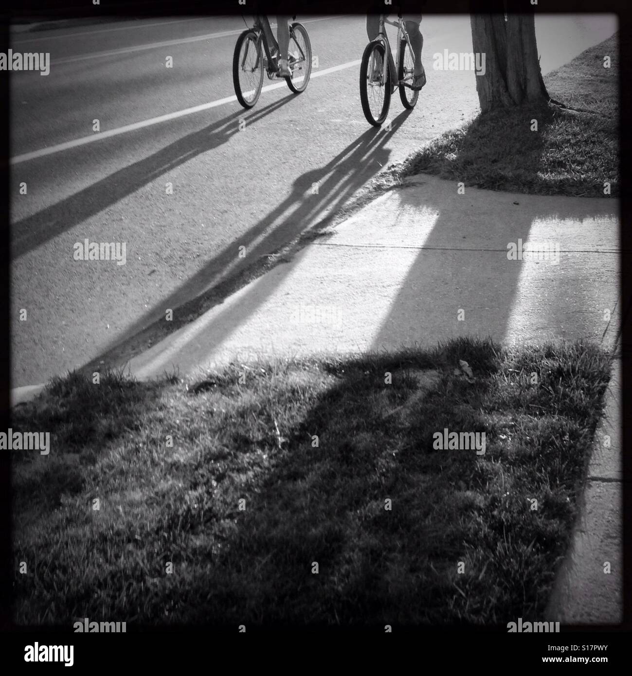 Le ombre dei due ciclisti su una strada con le ombre del sole gettato sul marciapiede della strada Foto Stock