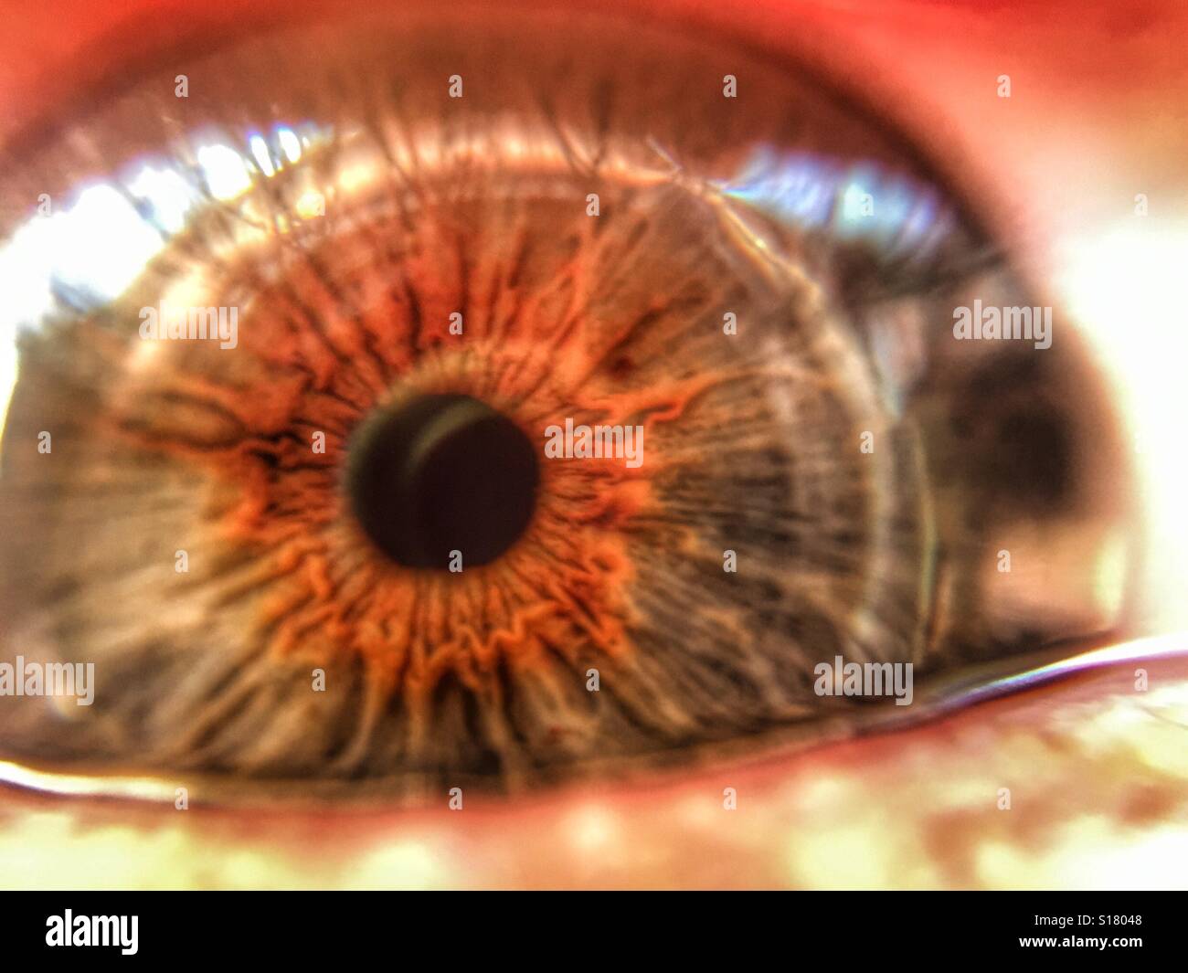 Occhio umano, macro - Immagine stock catturata con smartphone