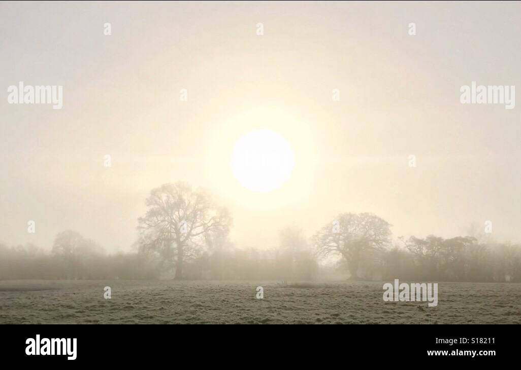 Il sole invernale Foto Stock