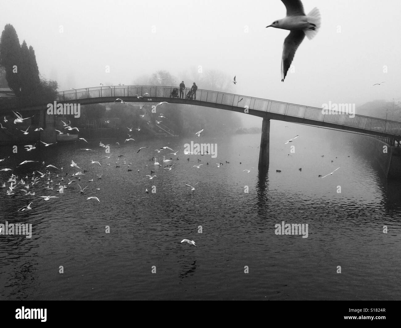 Eel pie island bridge twickenham Foto Stock