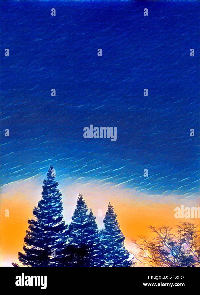 Blu cielo surreale su alberi sempreverdi Foto Stock