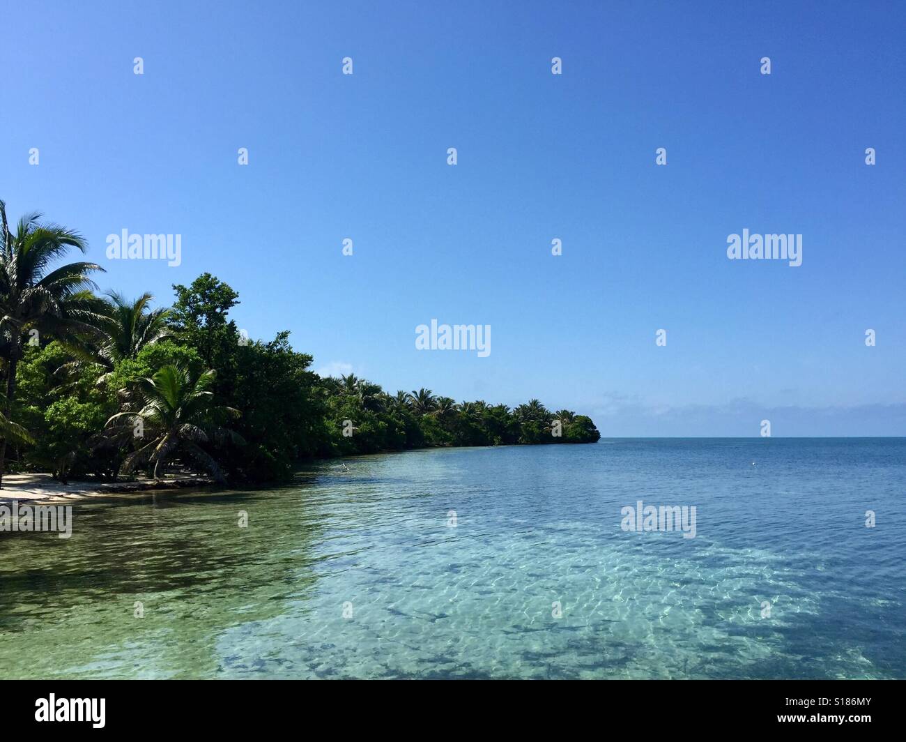 Long Caye, Glover barriera corallina del Belize Foto Stock