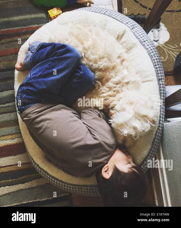 Un cane-uomo roll up😃 Foto Stock