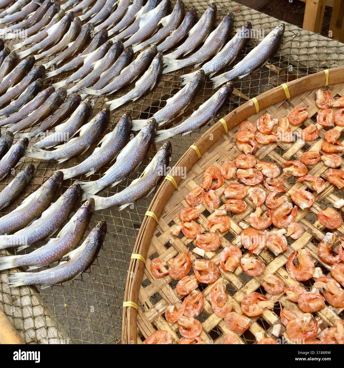 Pesce essiccato- essiccati pesci e gamberetti essiccati, Samut Songkhram provincia, Thailandia Foto Stock