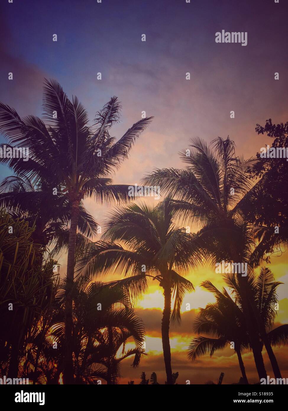 Tramonto in paradiso a Lahaina Maui Foto Stock