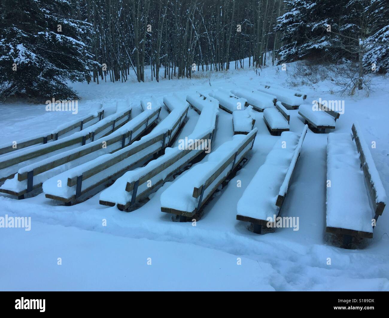 Coperta di neve anfiteatro, Shannon terrazza, pesce Creek Park, Calgary, Alberta, Canada - Immagine stock catturata con smartphone