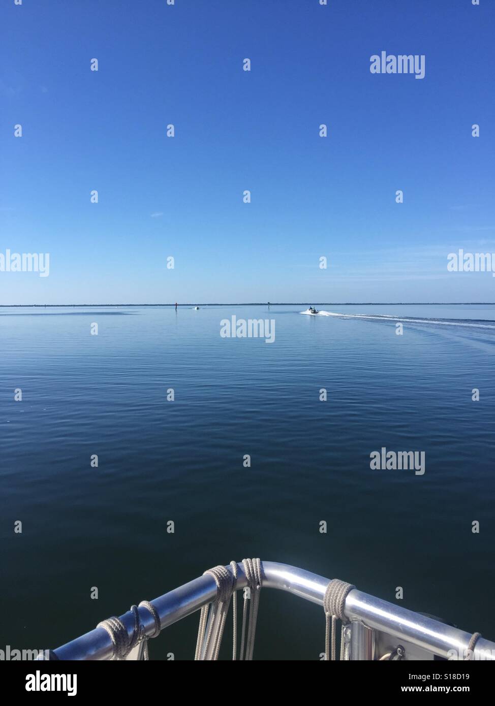 Gita in barca nel Golfo del Messico, Florida Foto Stock