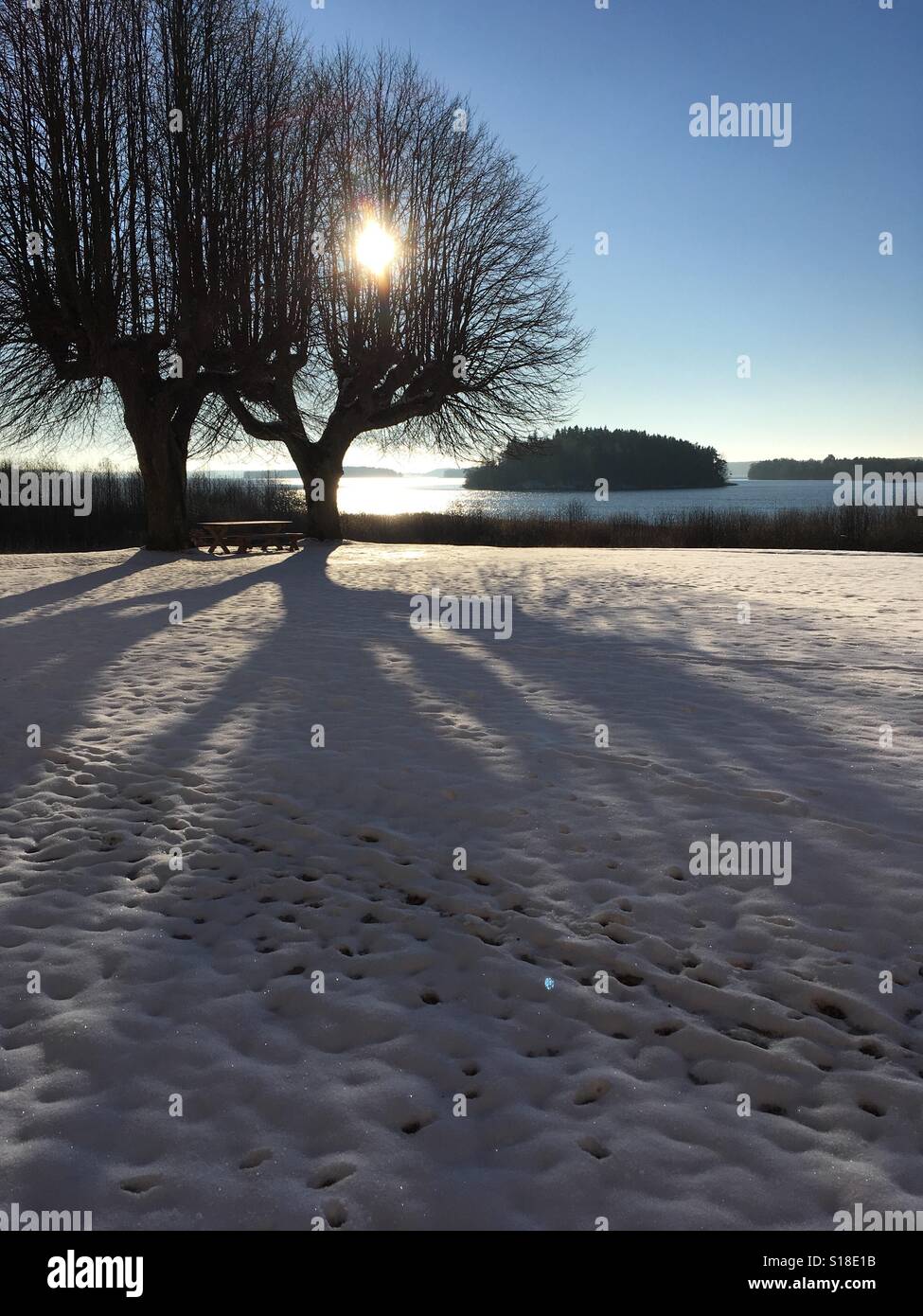 Inverno il sole sopra il lago con l'albero. Foto Stock