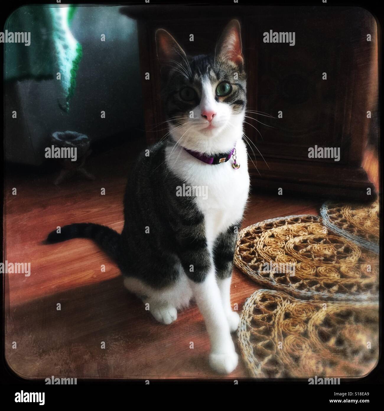 Ragazzo bello - Immagine stock catturata con smartphone