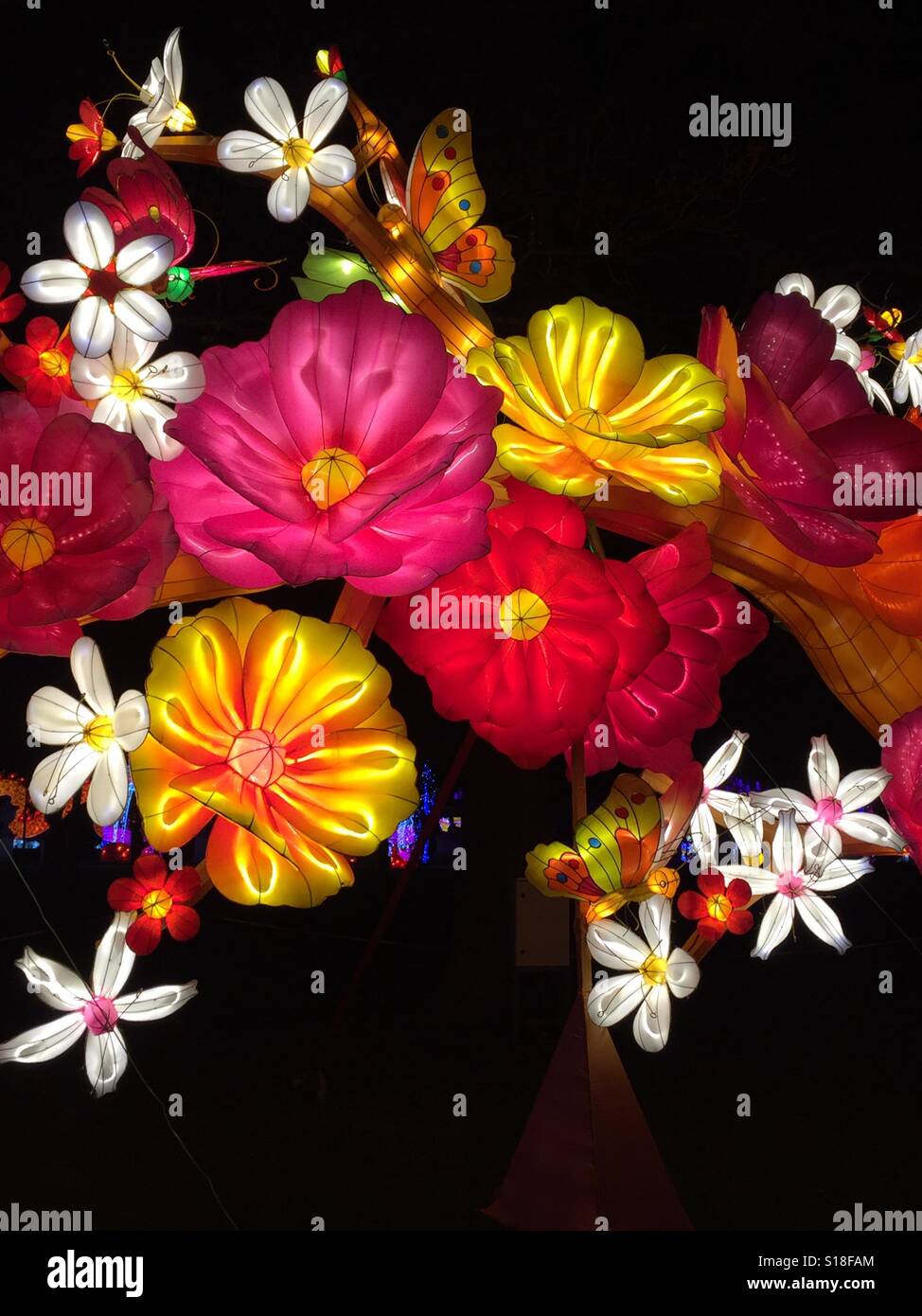 Lanterna di seta fiori Foto Stock