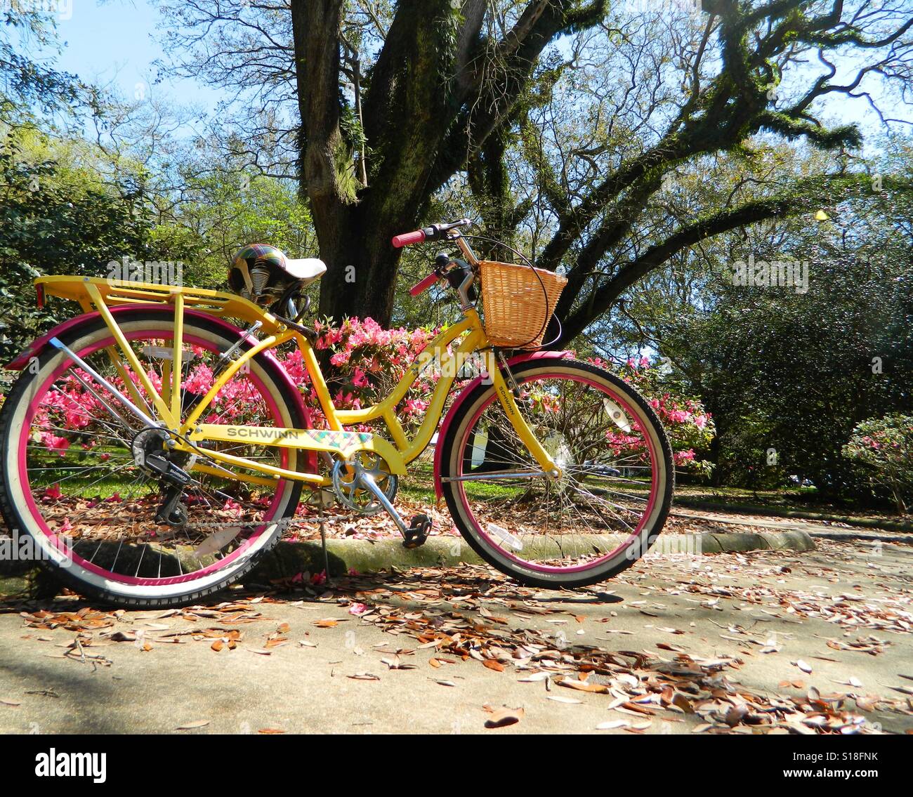 Giallo bike nel parco Foto Stock