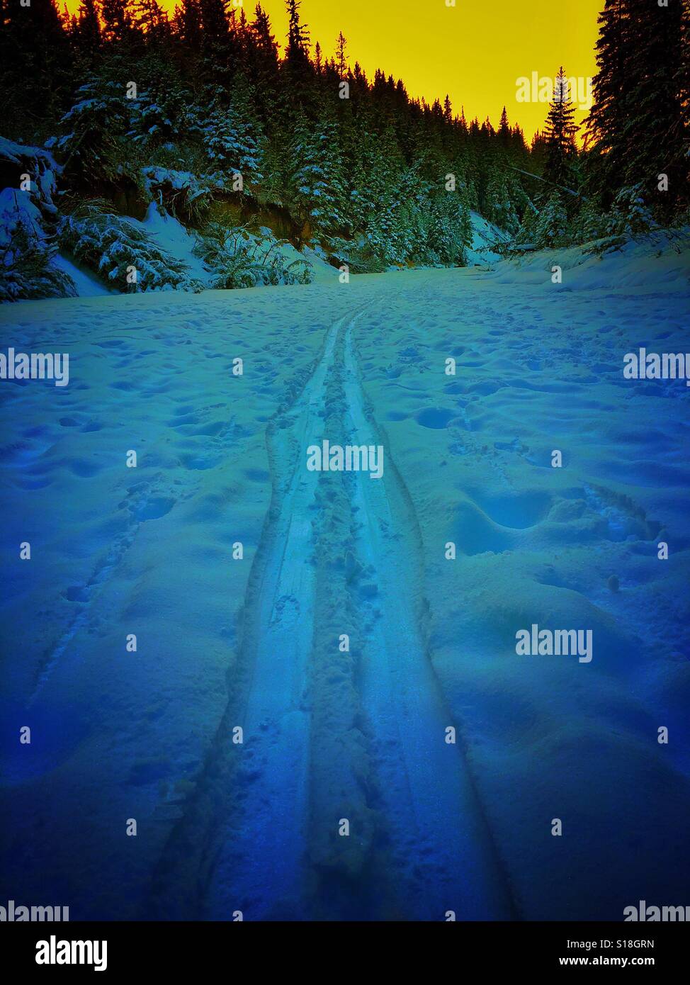 Piste da sci su Frozen creek bed - Immagine stock catturata con smartphone