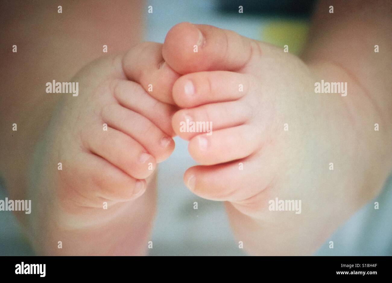 Un primo piano di un bambino i piedi e le dita dei piedi Foto Stock