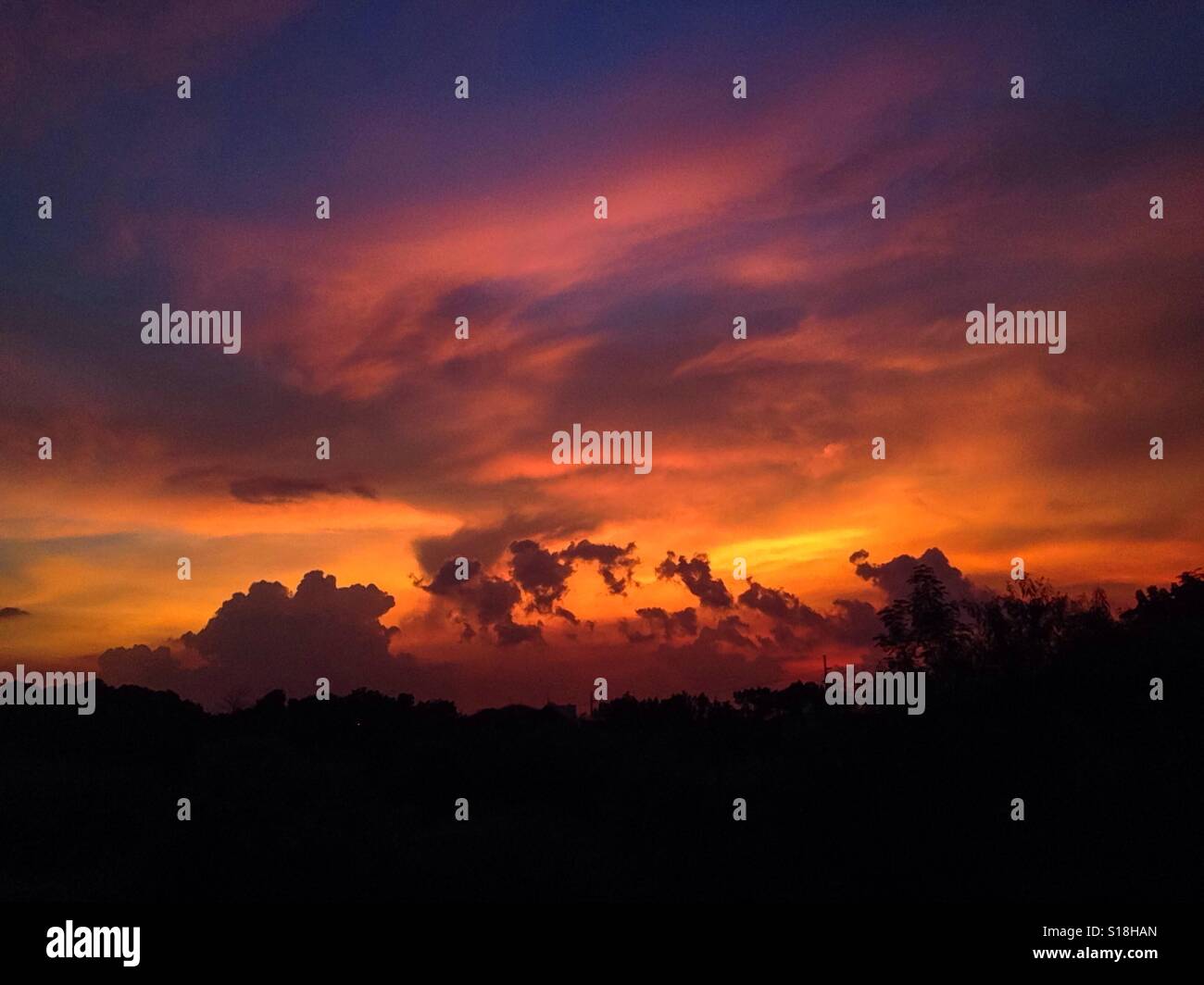 Arte nel cielo. Foto Stock