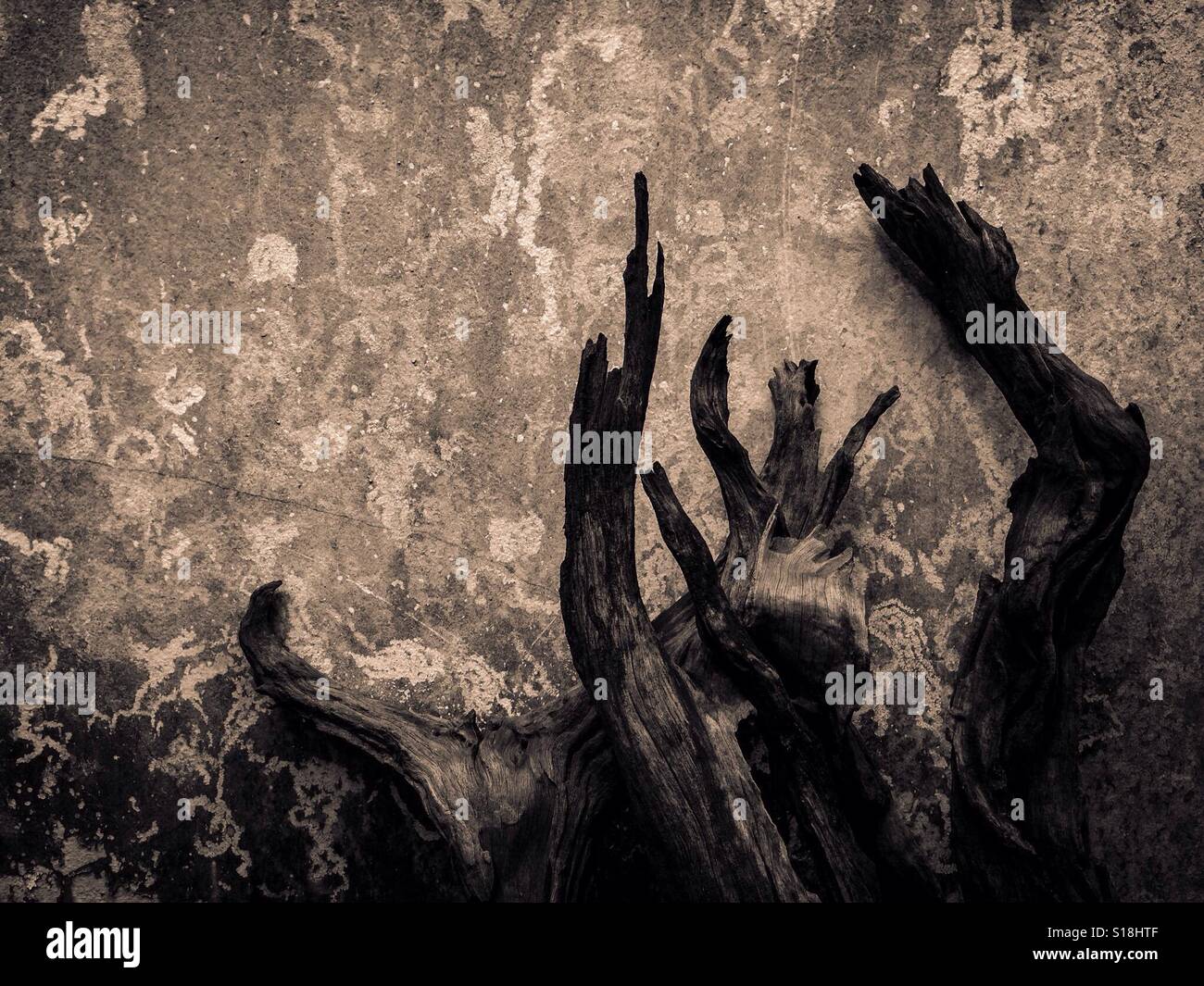 Disperazione Foto Stock