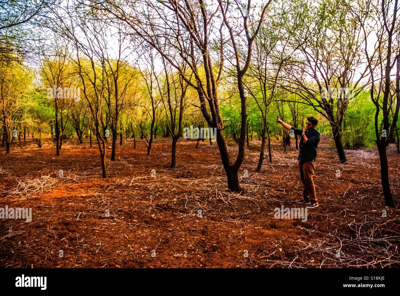 Guy tenendo selfi nella foresta Foto Stock