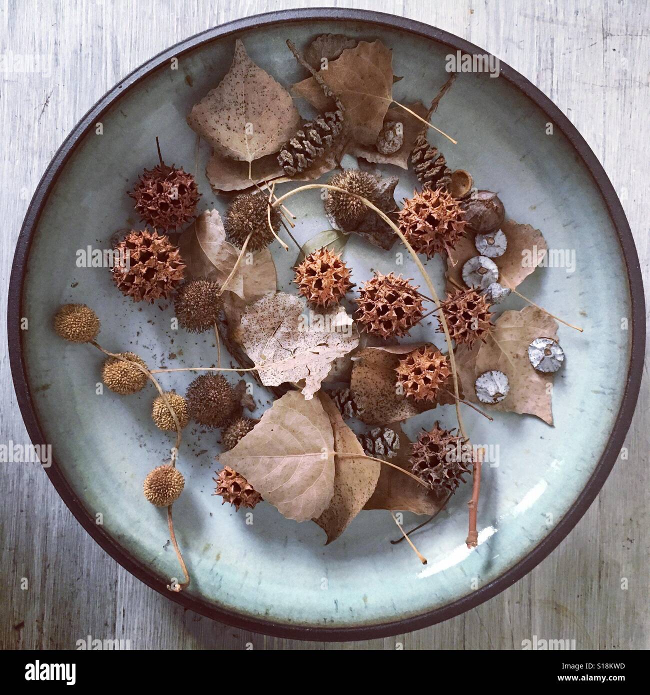Gli oggetti naturali nel recipiente di ceramica - Immagine stock catturata con smartphone