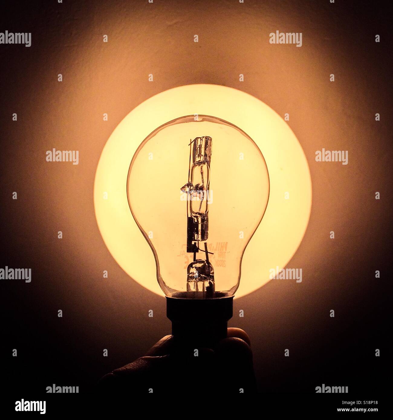 Luce soffusa di lampadina retroilluminazione Foto Stock