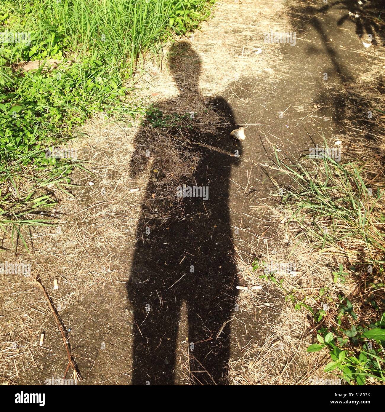 MI Foto Stock