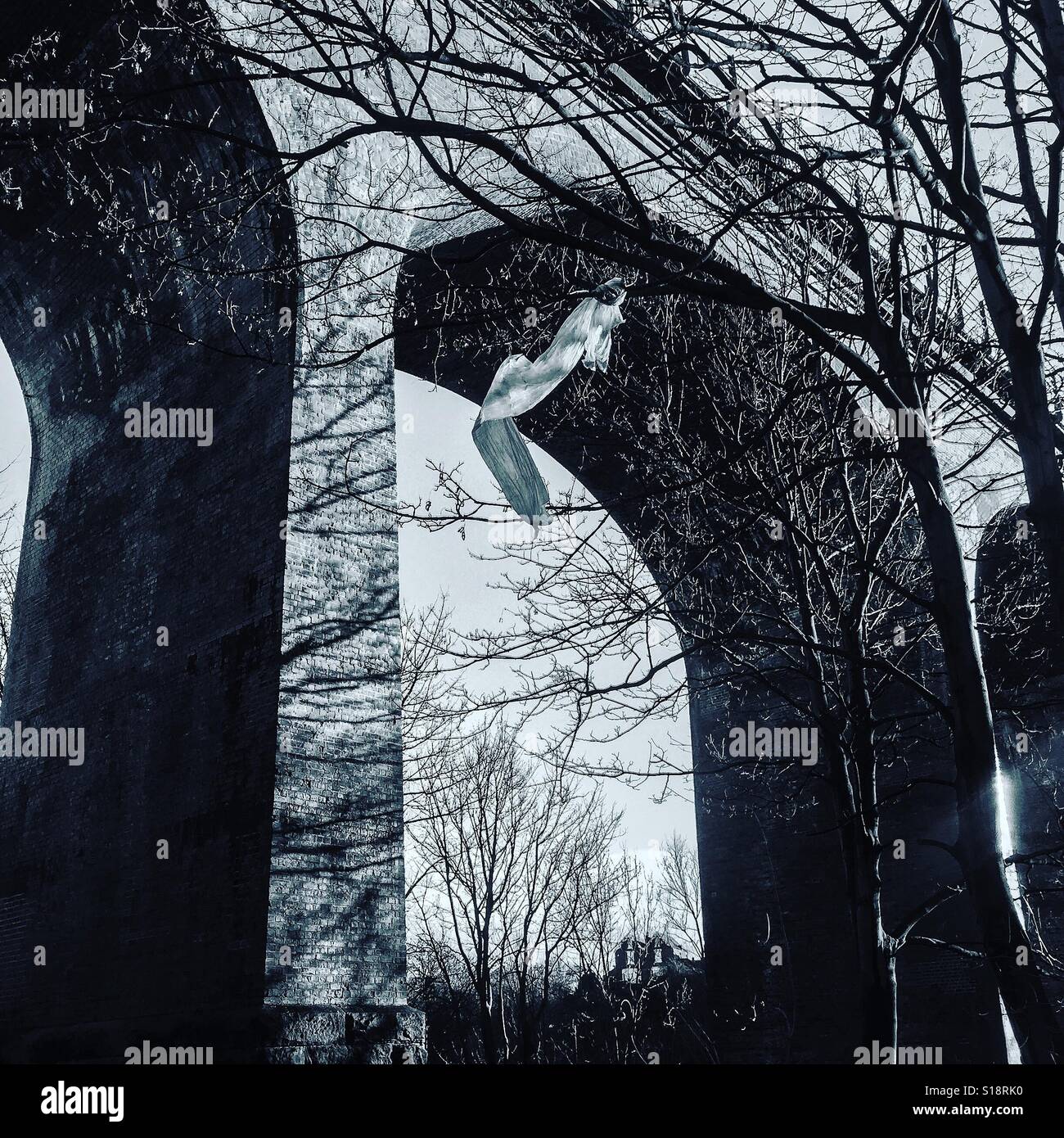 Chester masterizzare viadotto ferroviario - Co. Durham, Inghilterra - Immagine stock catturata con smartphone