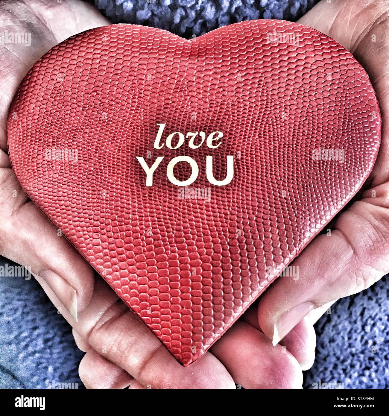 Ti amo cuore rosso scatola, tenuto in mani Foto Stock