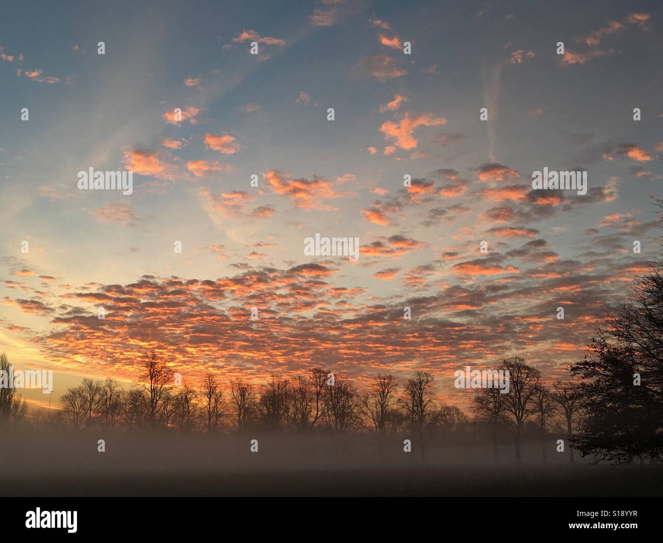 Early Morning mist nel parco suburbano con rosa grazioso nuvole. New Malden, Kingston upon Thames, Regno Unito Gennaio 2016 Foto Stock