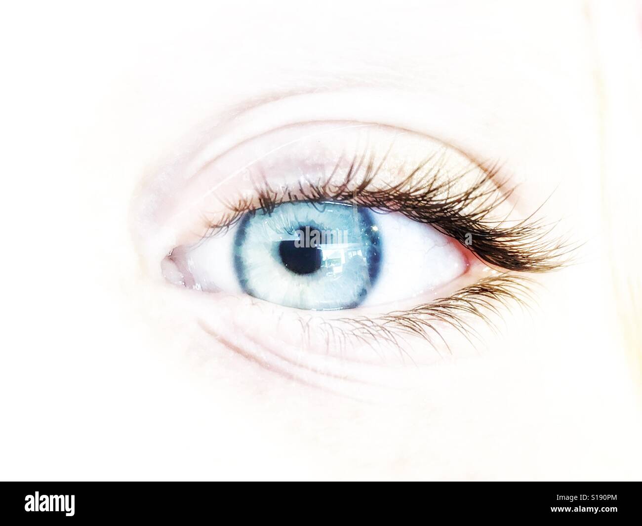Occhio azzurro. - Immagine stock catturata con smartphone