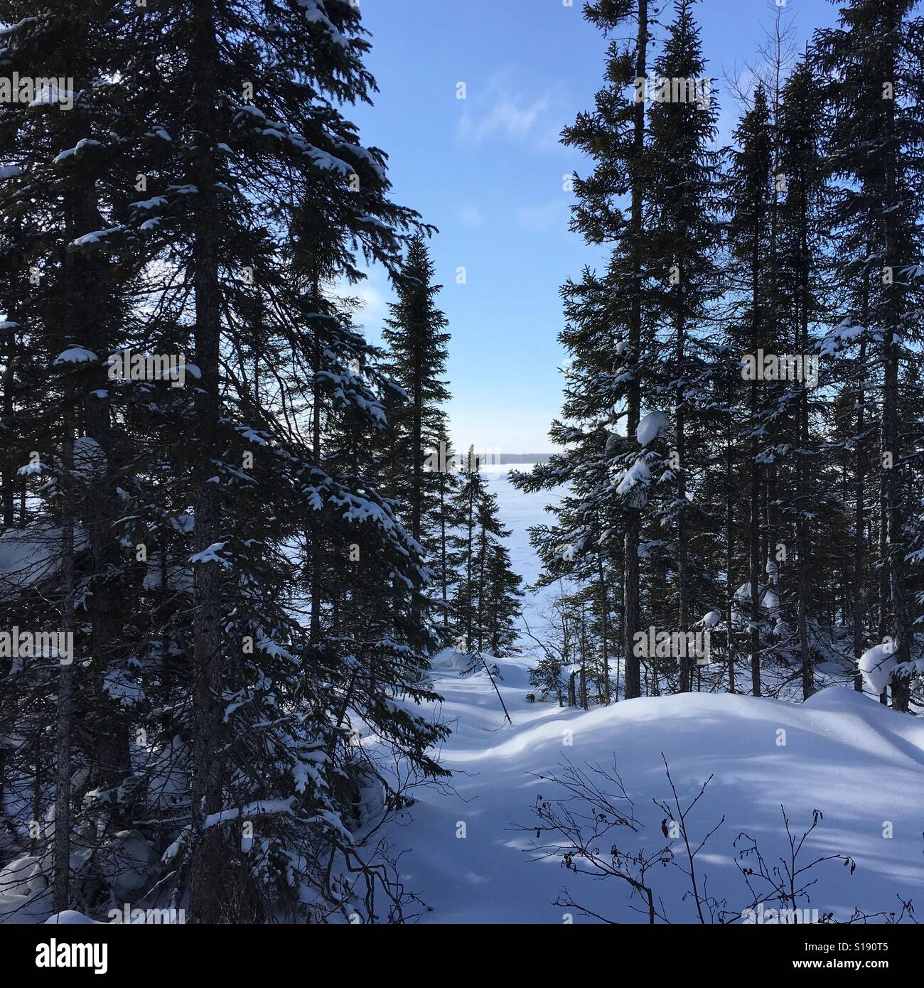 Paesaggio invernale , Northern Quebec - Immagine stock catturata con smartphone