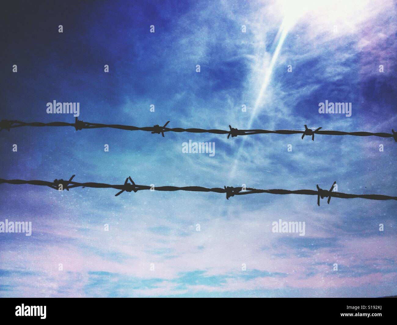 Filo spinato - Immagine stock catturata con smartphone