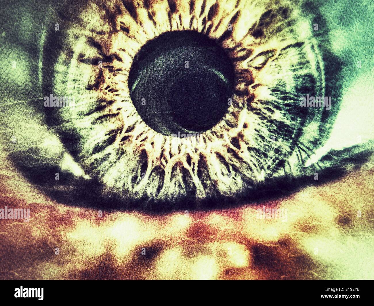 Bulbo oculare umana. Macro - Immagine stock catturata con smartphone