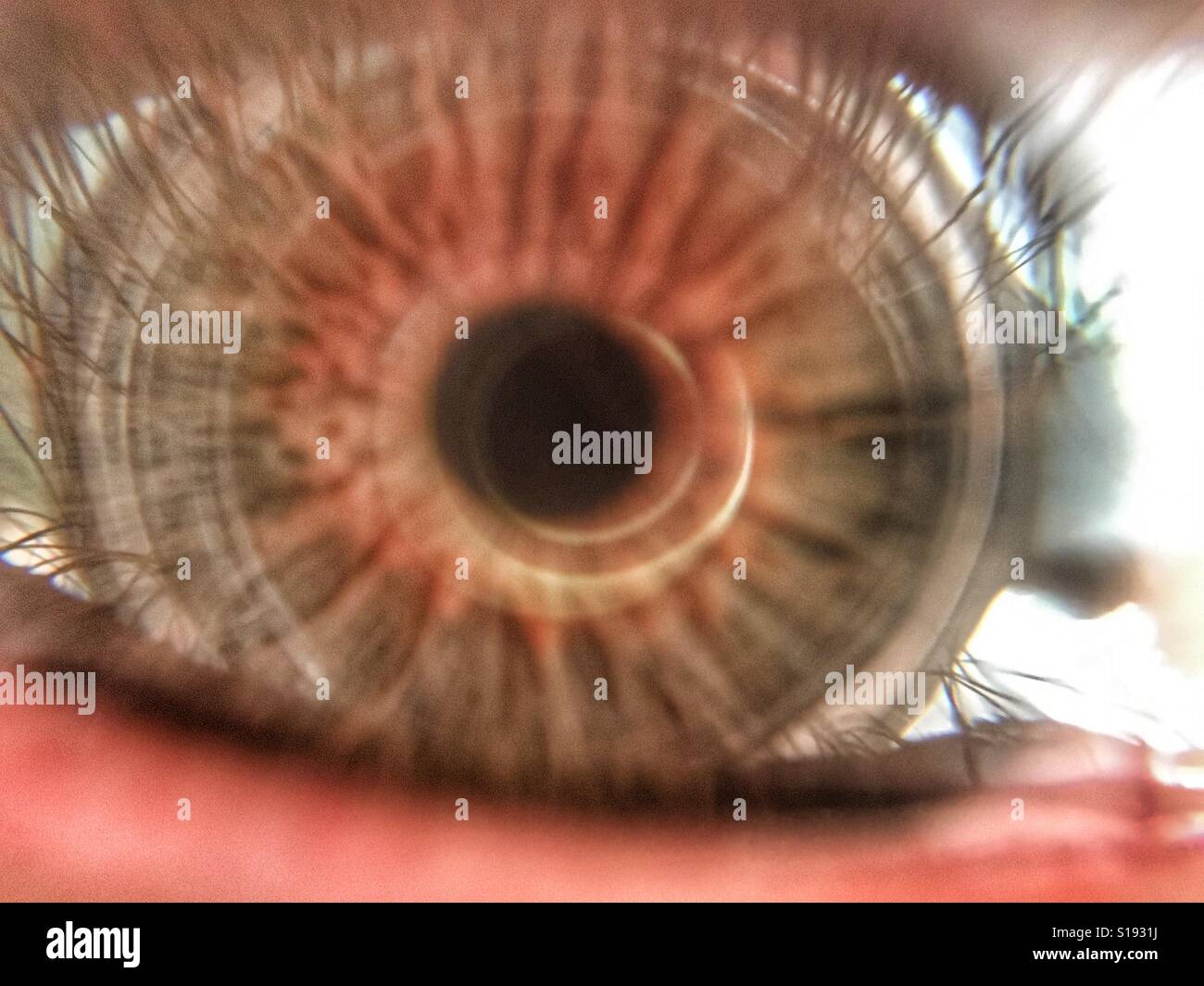 Hairy eyeball! Le ciglia si riflette nell'occhio umano. Macro - Immagine stock catturata con smartphone