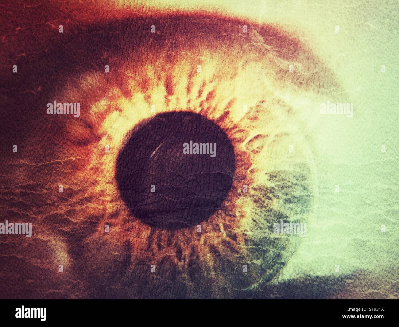 Occhio umano. Macro - Immagine stock catturata con smartphone