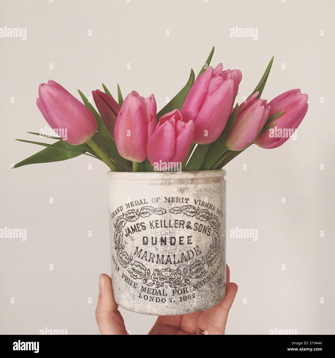I tulipani Foto Stock