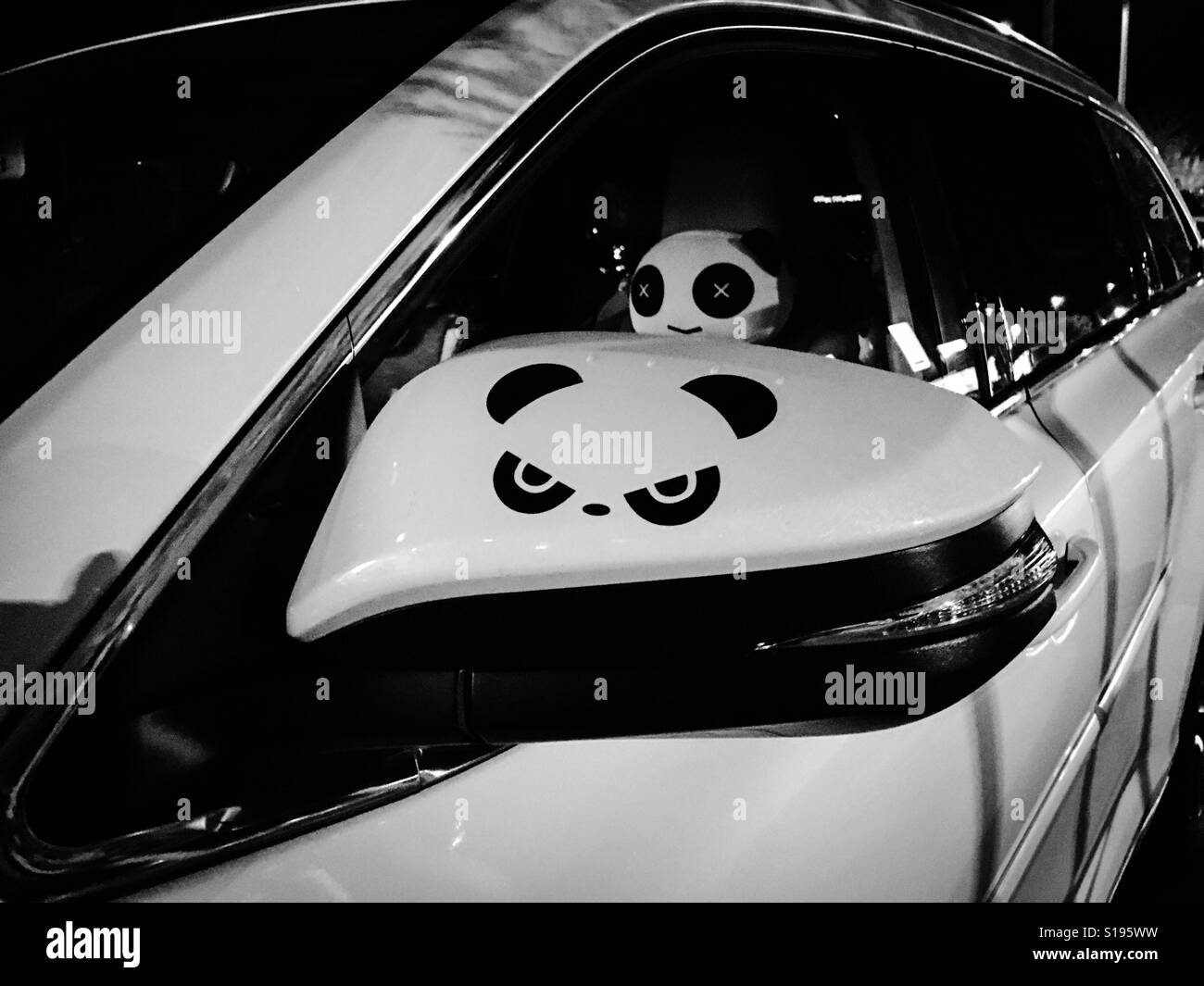 Un orso panda amante di auto Foto Stock