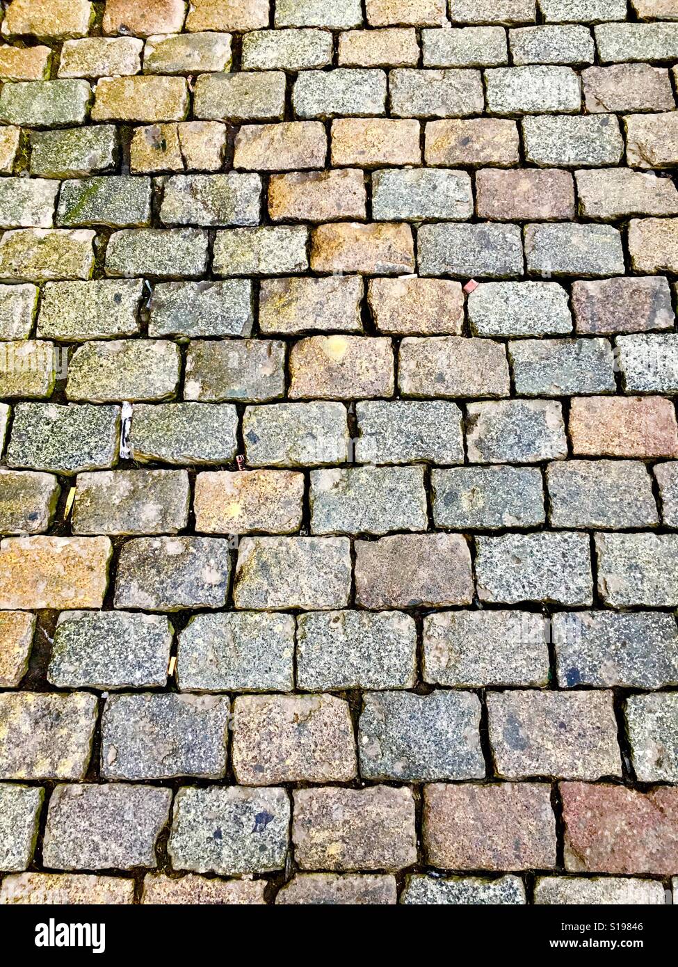 Strada di ciottoli a Bruxelles, in Belgio Foto Stock