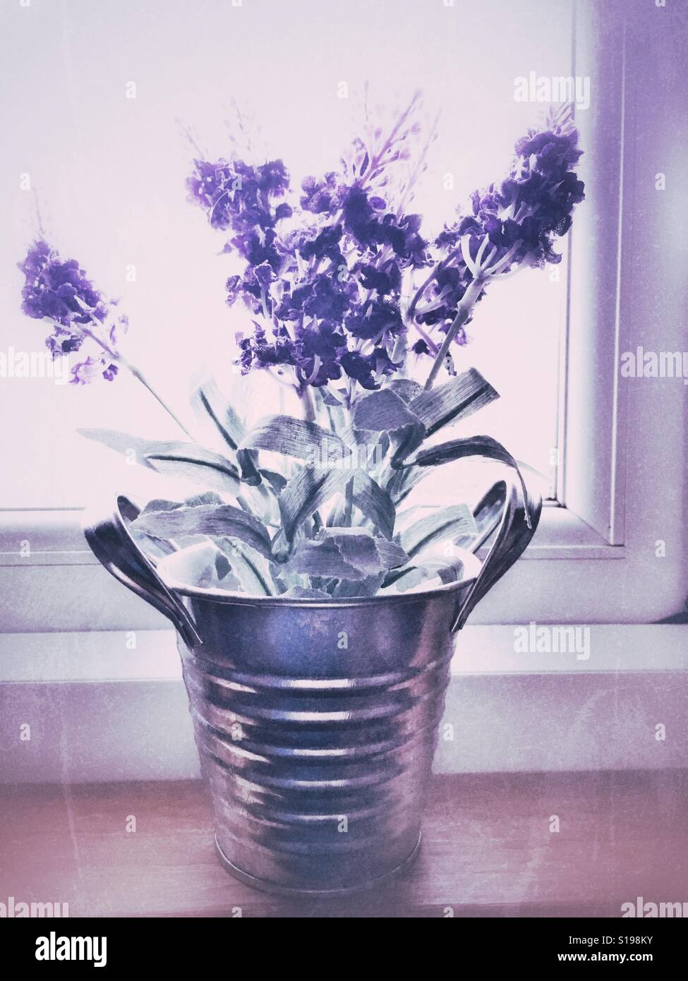 I fiori di plastica in un recipiente stagno sul davanzale - Immagine stock catturata con smartphone