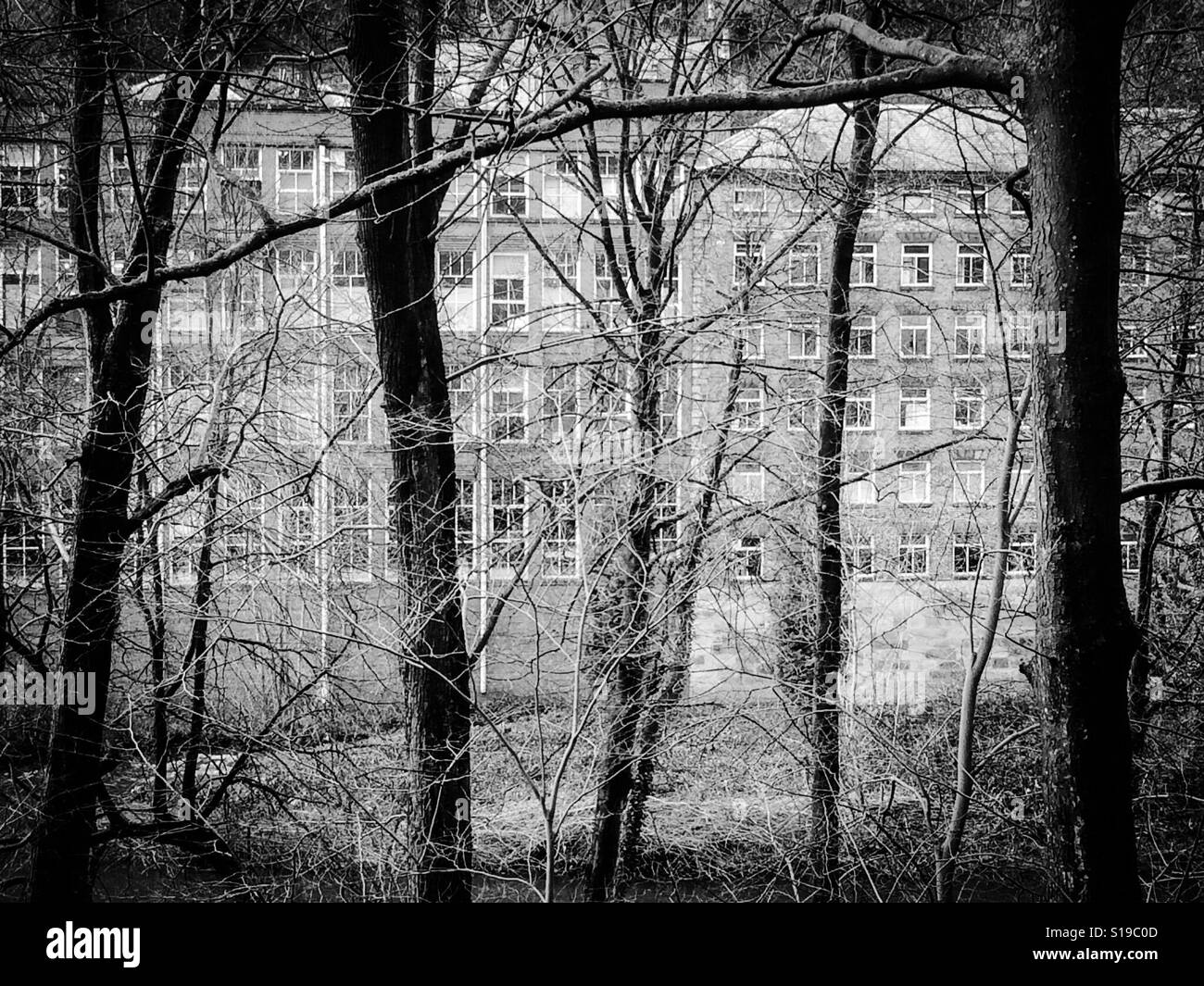 Masson mulino in Matlock Bath Derbyshire in inverno con alberi in primo piano Foto Stock