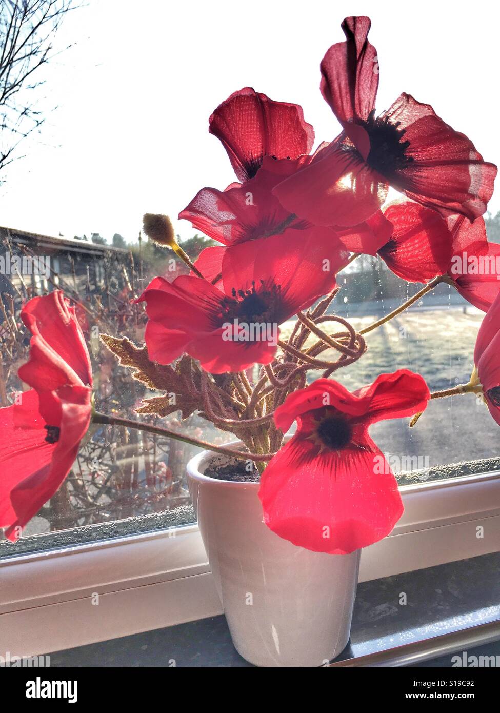 Fiori di papavero sintetici in una pentola sul davanzale, all'esterno ghiacciato - Immagine stock catturata con smartphone