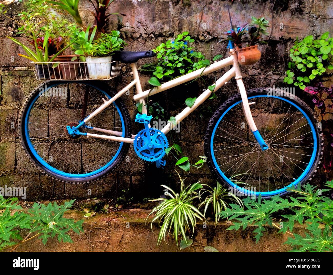 Giardino delle biciclette Foto Stock