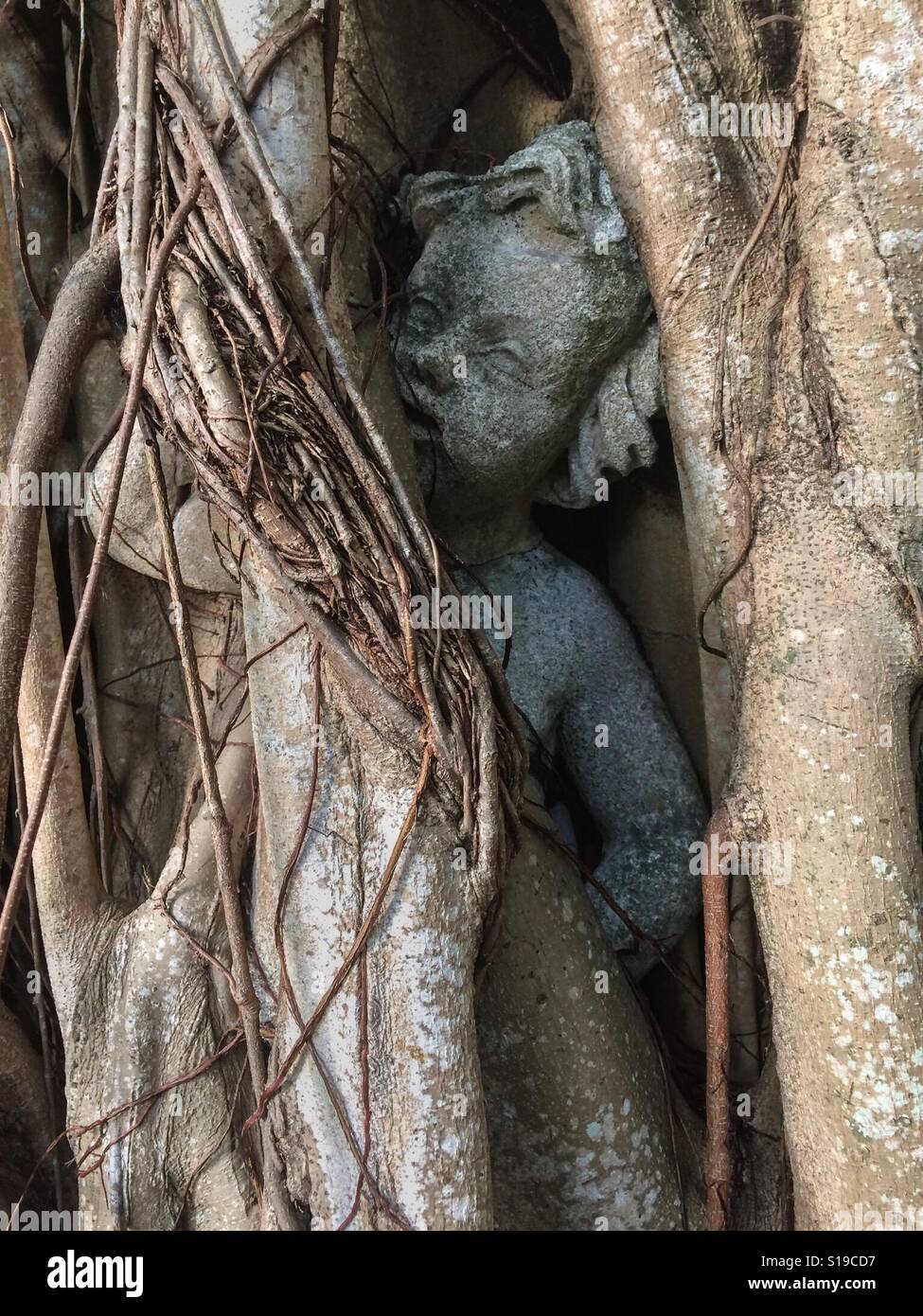 Statua - Immagine stock catturata con smartphone