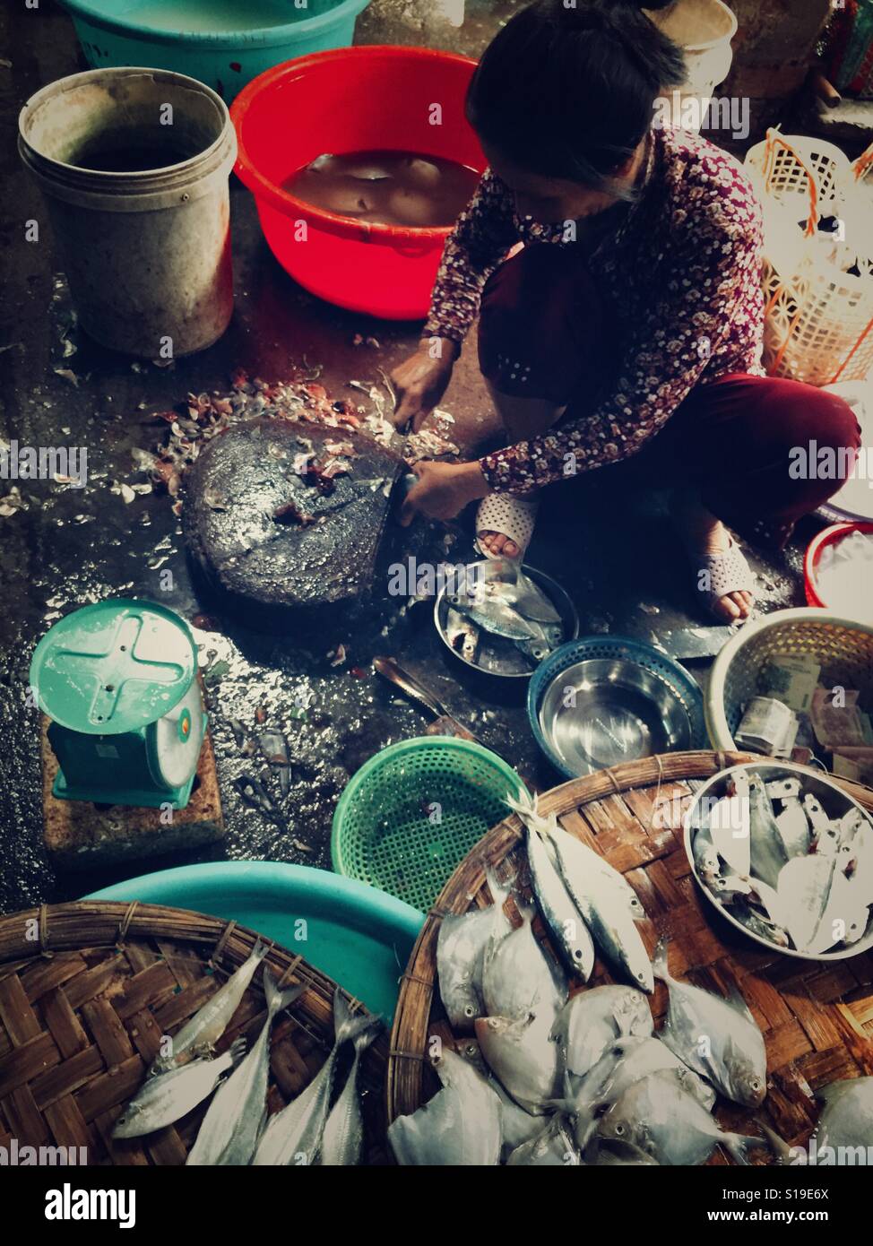 Pulire il pesce. - Immagine stock catturata con smartphone