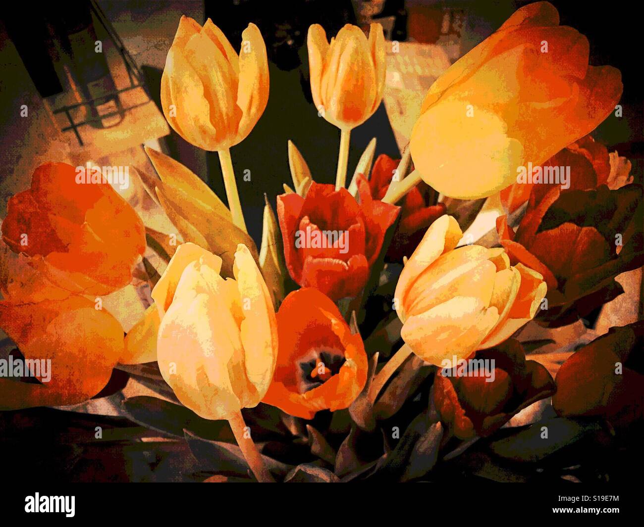 Fiori - rosso, giallo e arancione i tulipani Foto Stock