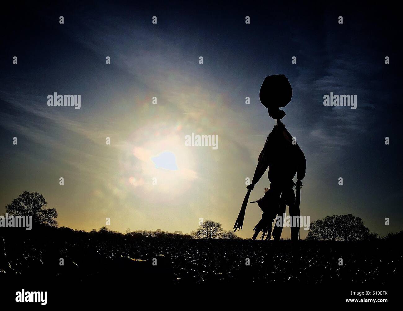 Silhouette di uno spaventapasseri in il Rising Sun attraverso la rural Suffolk/Confine di Essex REGNO UNITO Foto Stock
