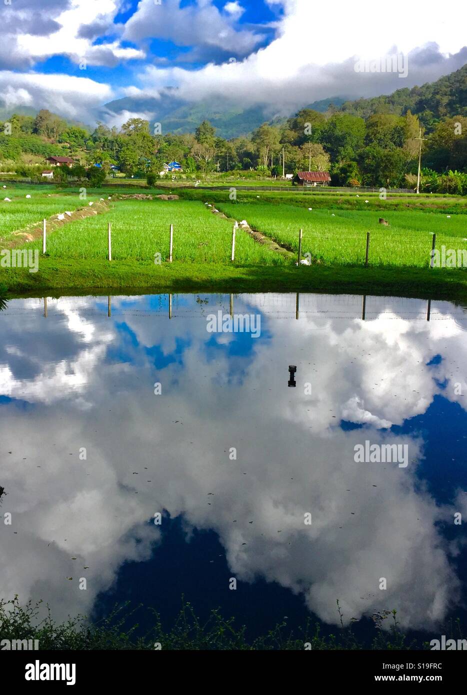 Il Cloud riflessioni su un laghetto, Chiang Mai, Thailandia Foto Stock