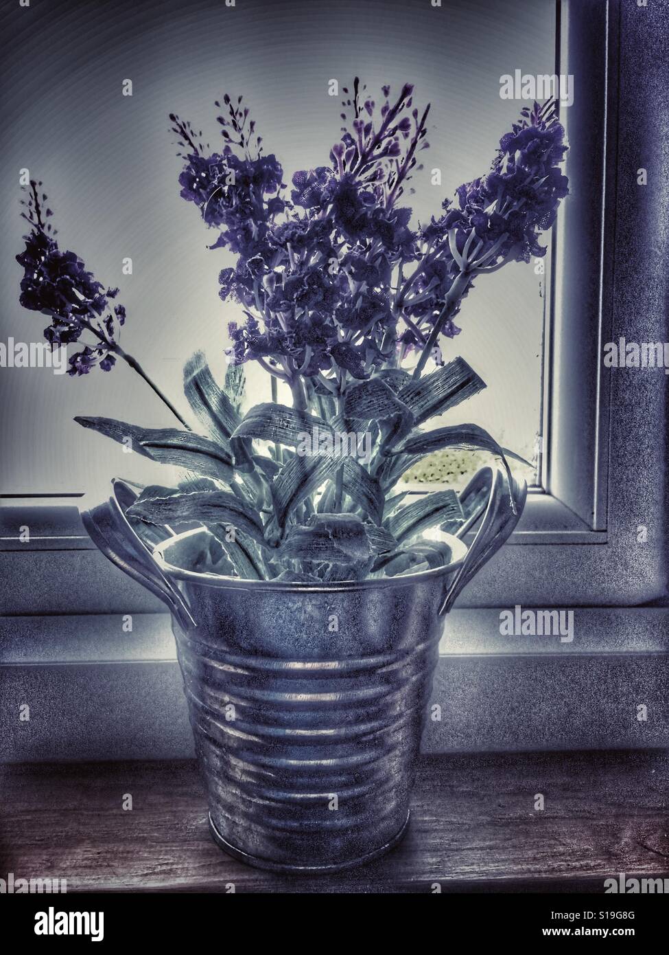 I fiori di plastica in un recipiente stagno - Immagine stock catturata con smartphone